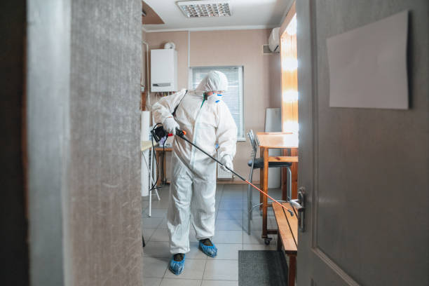 Best Residential Mold Inspection & Testing  in Cocoa Beach, FL