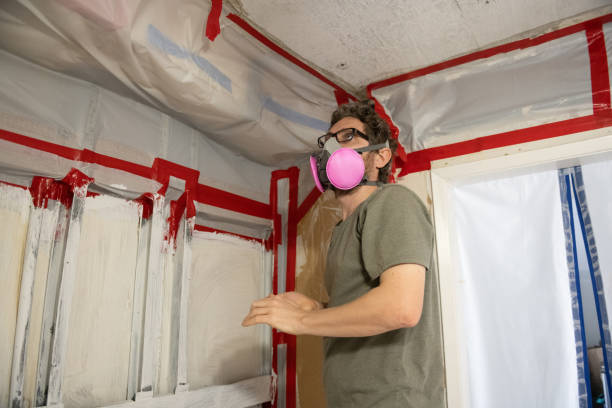 Best Mold Remediation for Healthcare Facilities  in Cocoa Beach, FL